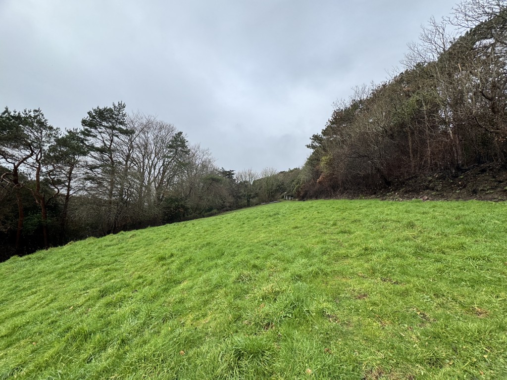 Lot: 16 - EXMOOR EDGE PASTURE WITH MAINS WATER AND VIEWS - Looking up the field